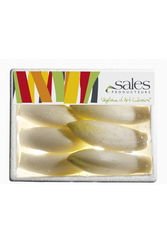 Mini Endive