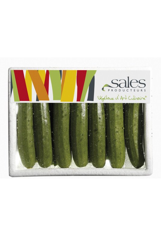 Mini Courgette