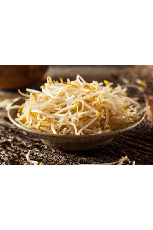 Soja Sprouts