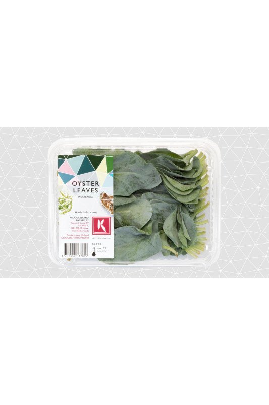 Oyster Leaves