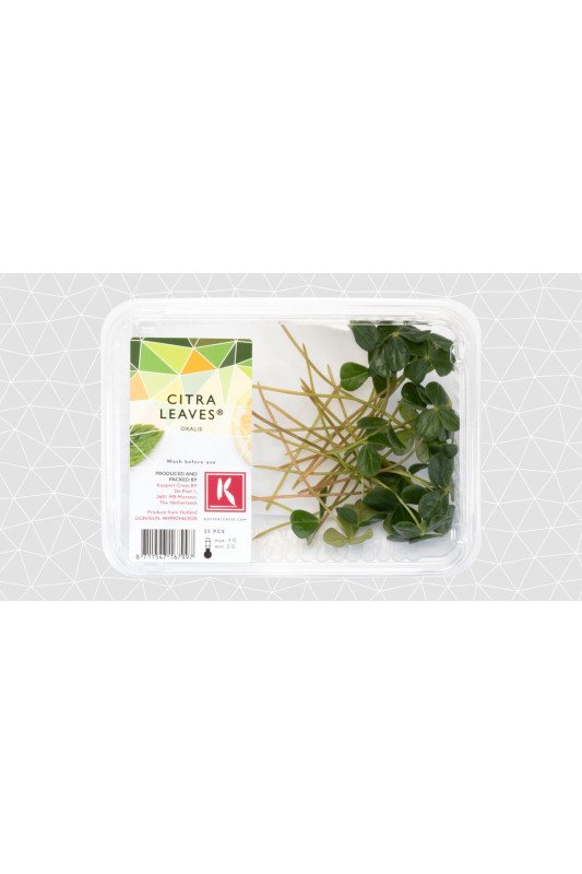 Citra Leaves