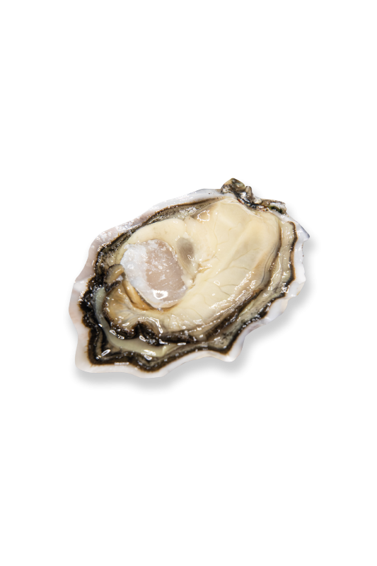 Huitres Spéciale Geay N°3