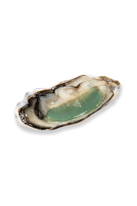 Huitres Geay - Fine Verte Label Rouge N°3