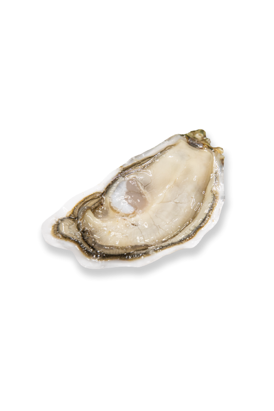 Huitres Geay - Pousse en Claire Label Rouge N°3