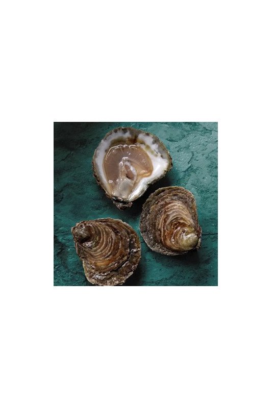 Huitres Plates Belon N°2