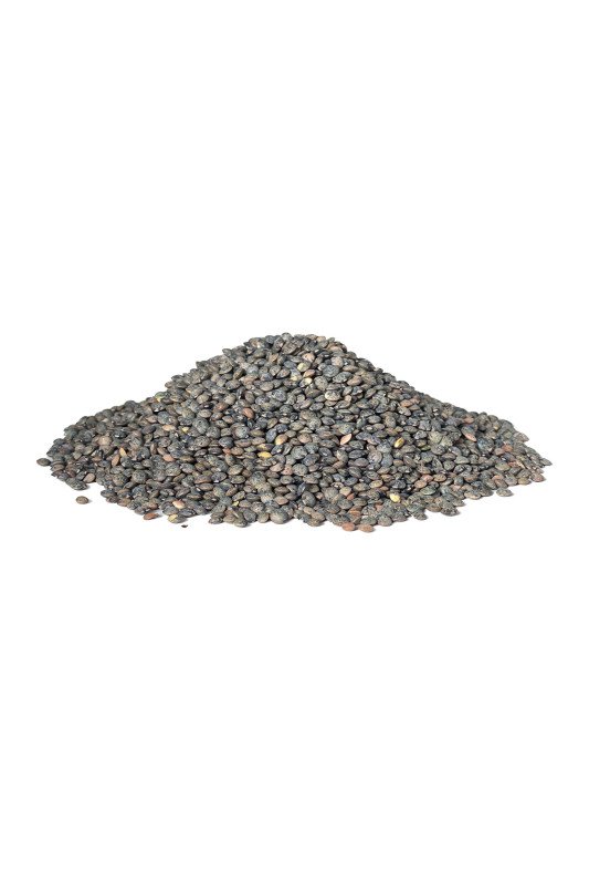 Lentille verte 1Kg - Ferme Saint Germain