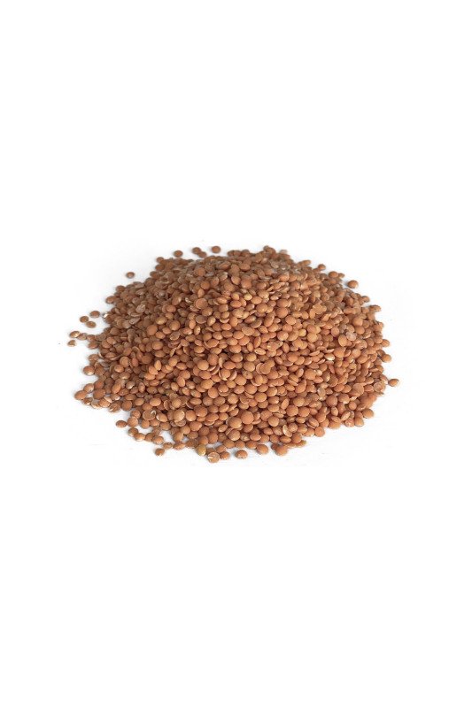 Lentille corAil 1Kg - Ferme Saint Germain