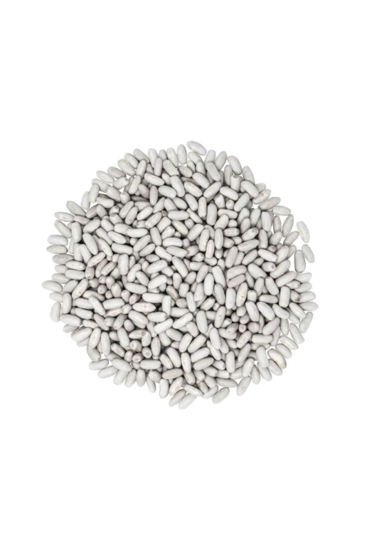 Haricot blanc 1Kg - Ferme Saint Germain