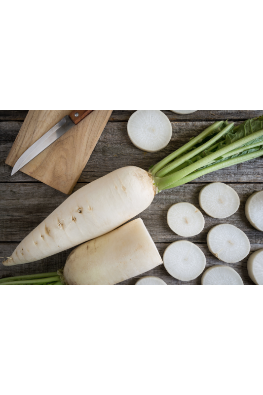 Radis blanc daikon Bio