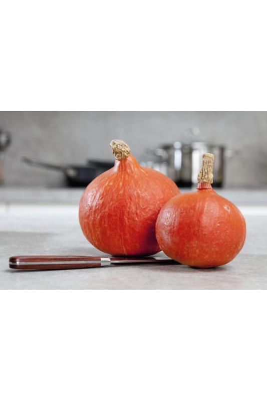 Potimarron orange Bio