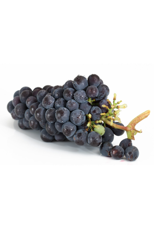 Raisin noir vittoria Bio