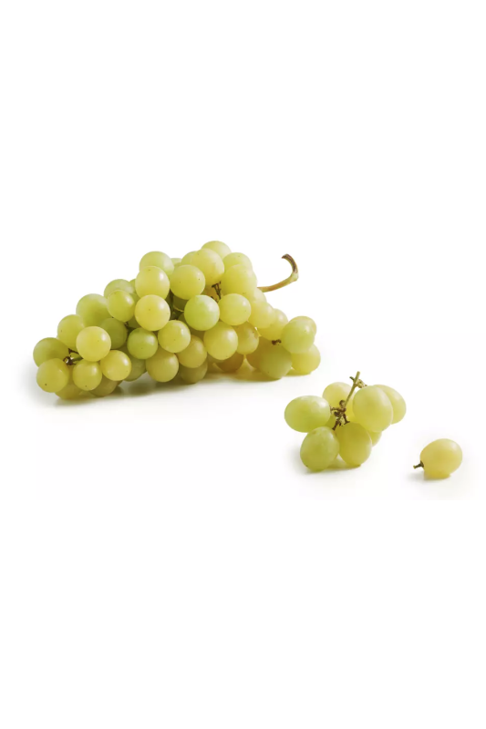 Raisin blanc vittoria Bio