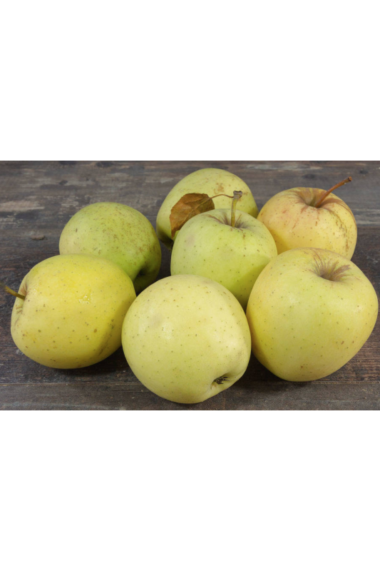 Pomme Golden Bio