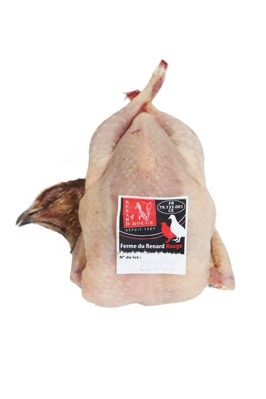 Caille PAC France plumée à sec Renard Rouge - 270 g +