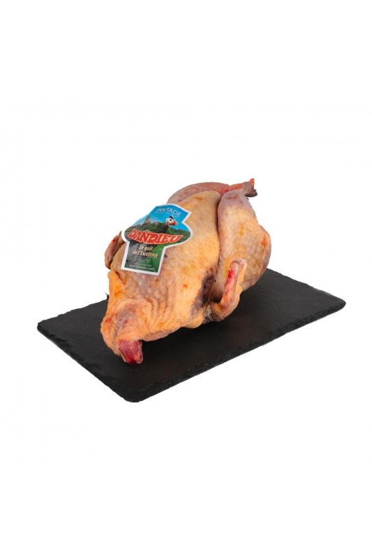 Pintade "Dandieu"