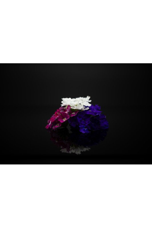 Verveine Mixte