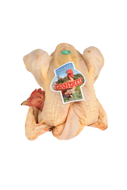 Poulet "Dandieu" Effilé "Sans OGM" -   Région Landes