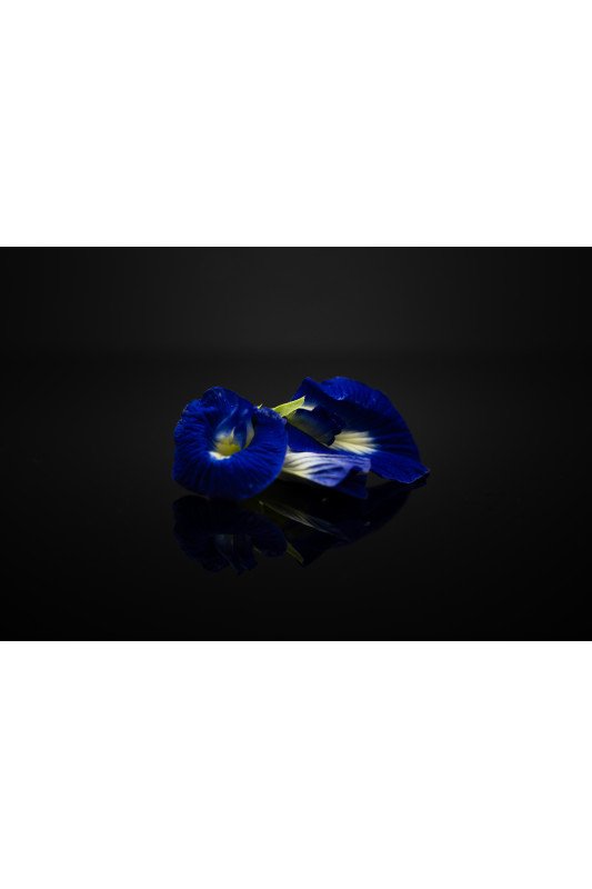 Pois Bleu